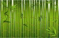 bamboo oriental seamless pattern. green natural tropical plant background with bamboo stems leaves.