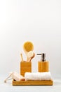 Bamboo acessories for bath - bowl, soap dispenser, brushes, tooth brush, towel and organic dry shampoo for personal hygiene Royalty Free Stock Photo