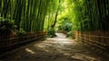 A Bamboo Alley in East Asia Royalty Free Stock Photo