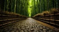 A Bamboo Alley in East Asia Royalty Free Stock Photo