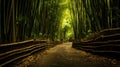 A Bamboo Alley in East Asia Royalty Free Stock Photo