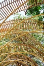 Bamboo Arch Over The Walkway Along A Building