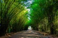 Bamboo arch at Wat Chulapornwanaram