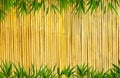 Bamboo Background Royalty Free Stock Photo