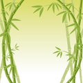 Bamboo background