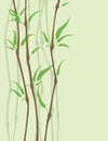 Bamboo background