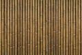 Bamboo background Royalty Free Stock Photo