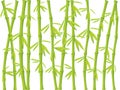 Bamboo background