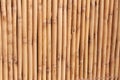 Bamboo Background Royalty Free Stock Photo