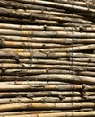 Bamboo background Royalty Free Stock Photo