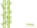 Bamboo background design, natural green oriental decoration