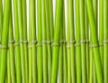 Bamboo background