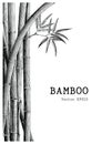 Bamboo background hand drawing engraving style