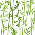 Bamboo background japanese asian plant wallpaper grass. Bamboo tree vector pattern