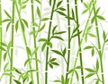 Bamboo background japanese asian plant wallpaper grass. Bamboo tree vector pattern