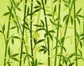 Bamboo background japanese asian plant wallpaper grass. Bamboo tree vector pattern