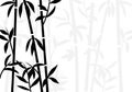 Bamboo background japanese asian plant wallpaper grass. Bamboo tree vector pattern black and white Royalty Free Stock Photo