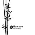 Bamboo background. Vector Royalty Free Stock Photo
