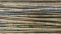 Bamboo Royalty Free Stock Photo