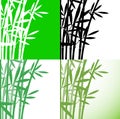 Bamboo Bambus set background, stock vector illustration Royalty Free Stock Photo