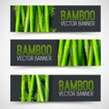 Bamboo banners concept. intage art traditional, Islam, arabic, indian, magazine, elements. Vector decorative retro greeting card o