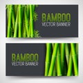 Bamboo banners concept. intage art traditional, Islam, arabic, indian, magazine, elements. Vector decorative retro greeting card o