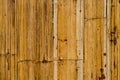 Bamboo bark texture