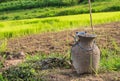 Bamboo Basket Creel Fish