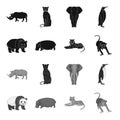 Bamboo bear, hippopotamus, wild animal tiger, monkey . Wild animal set collection icons in black,monochrome style vector