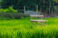 Bamboo bench in rice field