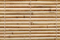 Bamboo blind Royalty Free Stock Photo