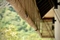 Bamboo blinds asian traditional home decoration. Sunlight coming through bamboo blinds by the window. Bamboo curtain at a window