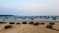 Bamboo boats, Da Nang, Vietnam Royalty Free Stock Photo