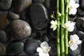 Bamboo branches, flowers and spa stones in water, top view