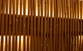 Bamboo branches painted in golden colors with backlight. Wall decoration, lamp. Full frame close-up photo. Space for text.