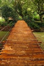 Bamboo Bridge