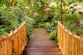 Bamboo bridge