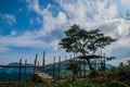 Bamboo bridge, Bamboo bridge from Thailand, Bamboo bridge from Thailand country