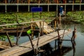 Bamboo bridge for boat wood, see Lotus red