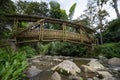 Bamboo bridge in Colombia