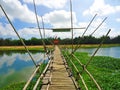 Bamboo bridge, countryside of Hoi An, Vietnam