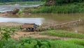 Bamboo bridge crosses river in Laos