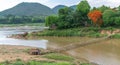 Bamboo bridge crosses river in Laos