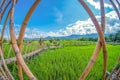 Bamboo bridge on green rice field with nature and blue sky background