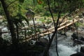 Bamboo Bridge In Jungle Royalty Free Stock Photo