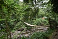 Bamboo Bridge at Dark View Falls, St. Vincent and the Grenadines