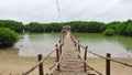 Bamboo bridge leading to mangrove swamp on Bantayan Island