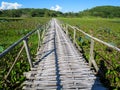 Bamboo bridge through lush lotus lake with mountain background a Royalty Free Stock Photo