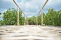 a bamboo bridge in a mangrove forest