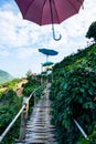 Bamboo bridge with mountain view in Pha Hi village Royalty Free Stock Photo